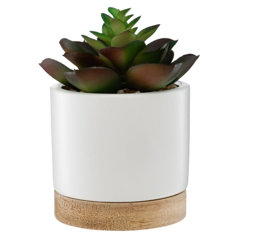 Succulente artificielle en pot blanc H.12cm