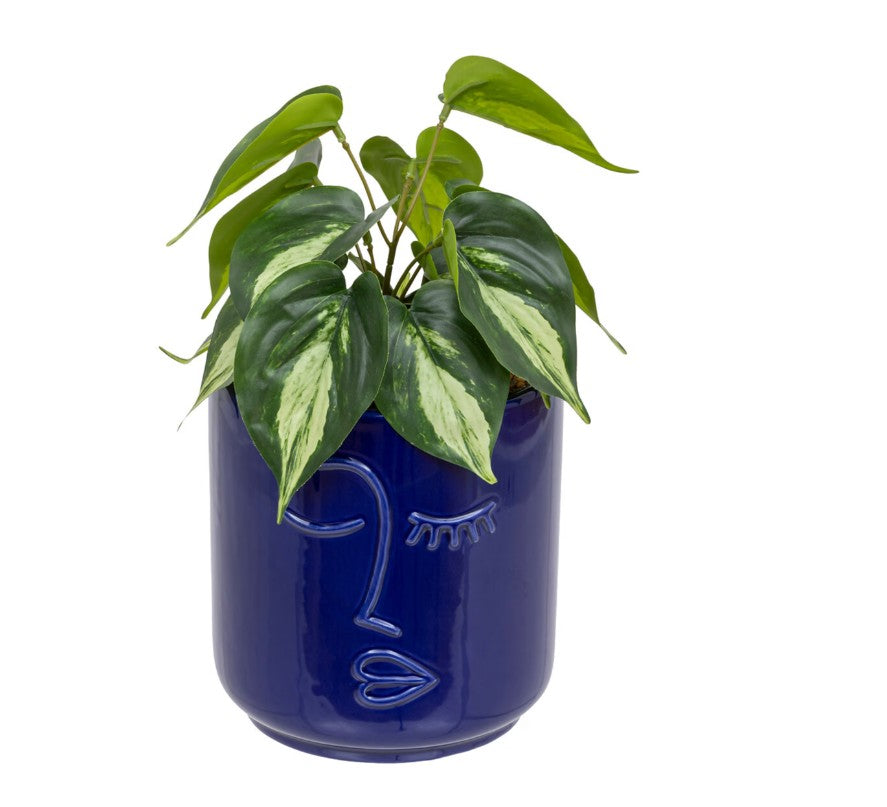 Plante artificielle en pot visage bleu foncé H.30cm
