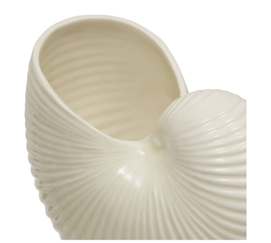 Vase coquillage en dolomite blanc