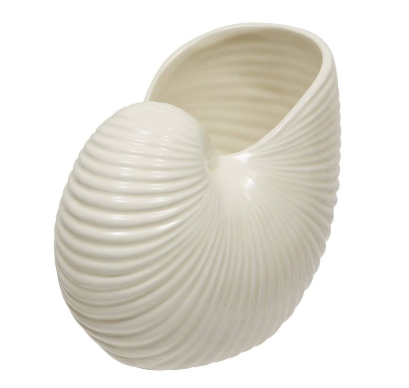 Vase coquillage en dolomite blanc