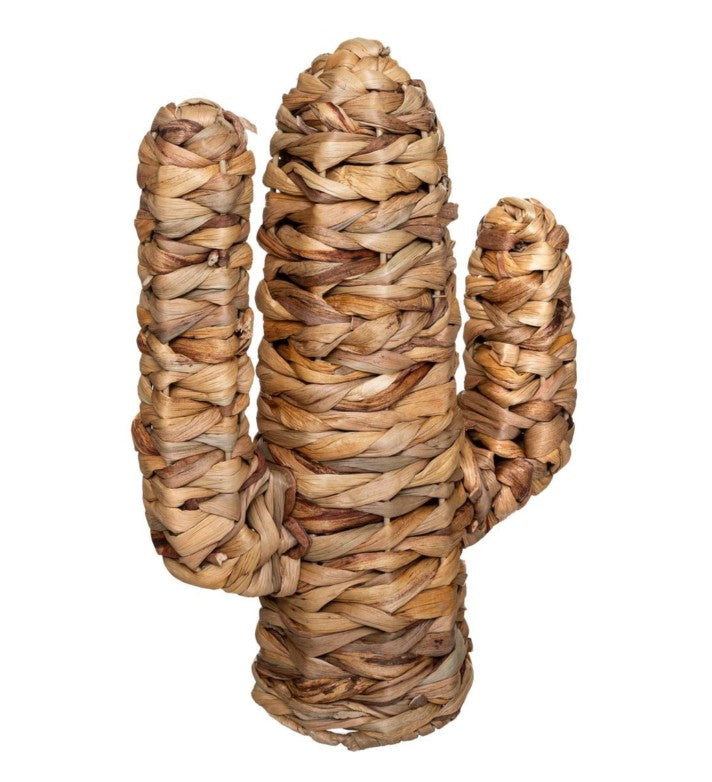 Déco cactus hacienda H.35cm