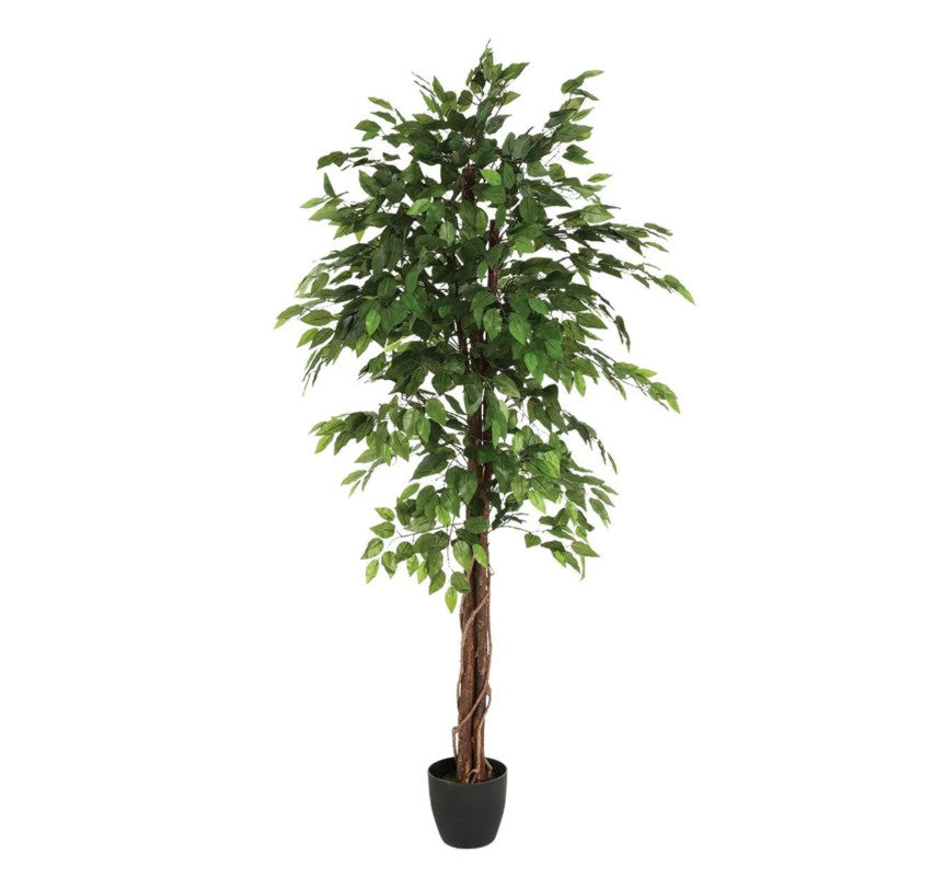 Ficus artificiel en pot H.180cm