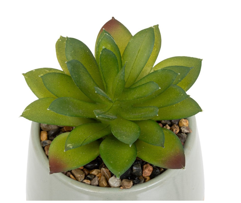 Plante artificielle en pot céramique bleu clair H.12cm