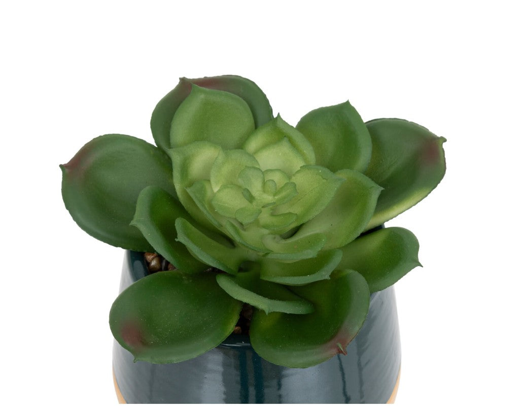 Plante artificielle en pot céramique bleu foncé H.12cm