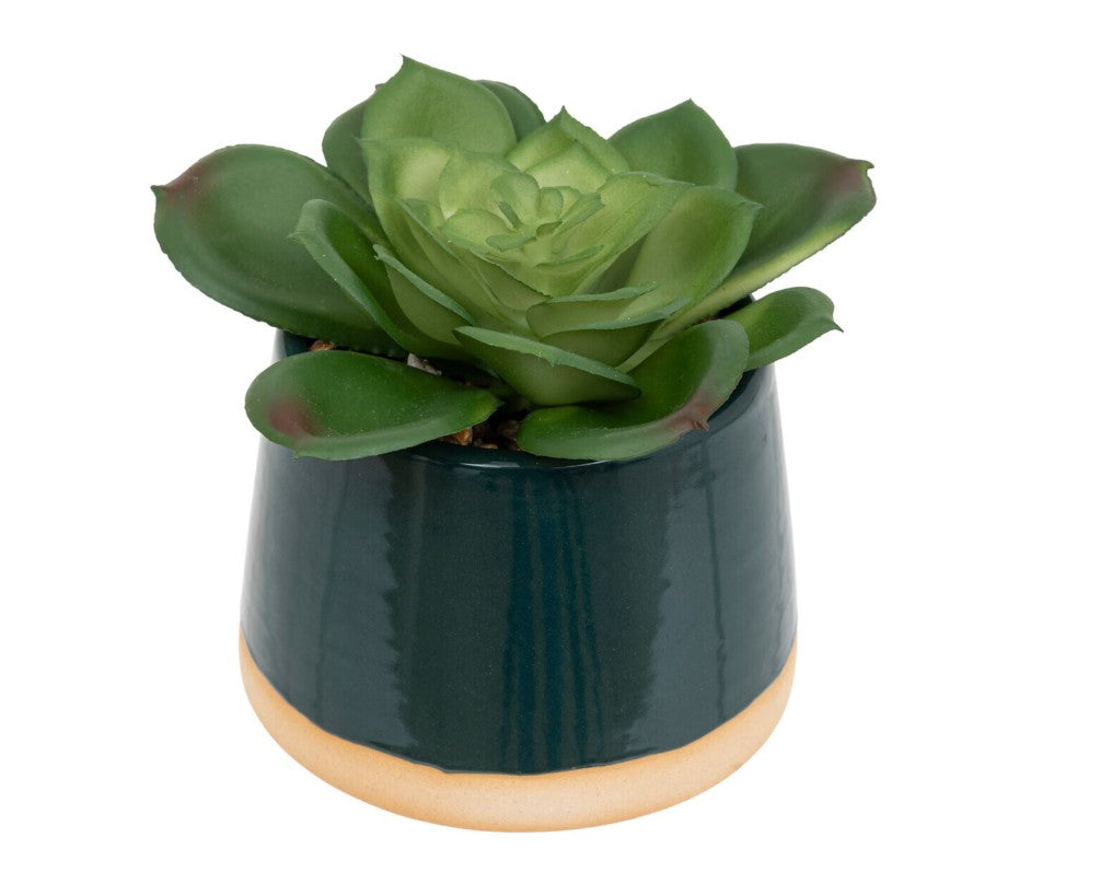 Plante artificielle en pot céramique bleu foncé H.12cm
