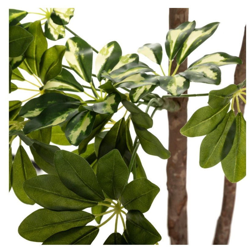 Schefflera artificiel en pot H.130cm